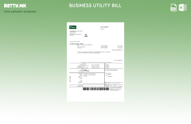 Модерен стил шаблон за деловна сметка за осигурителна компанија Fennia